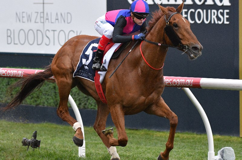 The Everest Tips & Betting Predictions